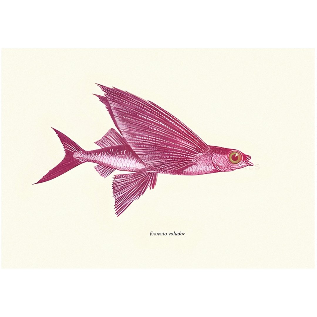 Mini poster adhesivo y reposicionable: Pez volador rosa - Tienda Pasquín