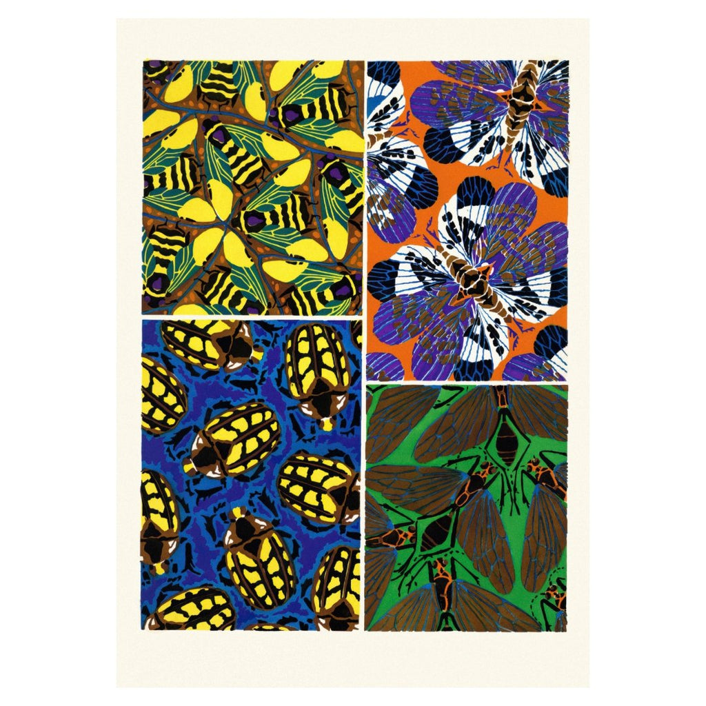 Mini Poster adhesivo y reposicionable: Textura insectos de Emile-Allain Séguy - Tienda Pasquín