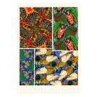 Mini Poster adhesivo y reposicionable: Texturas insectos 3 de Emile-Allain Séguy - Tienda Pasquín