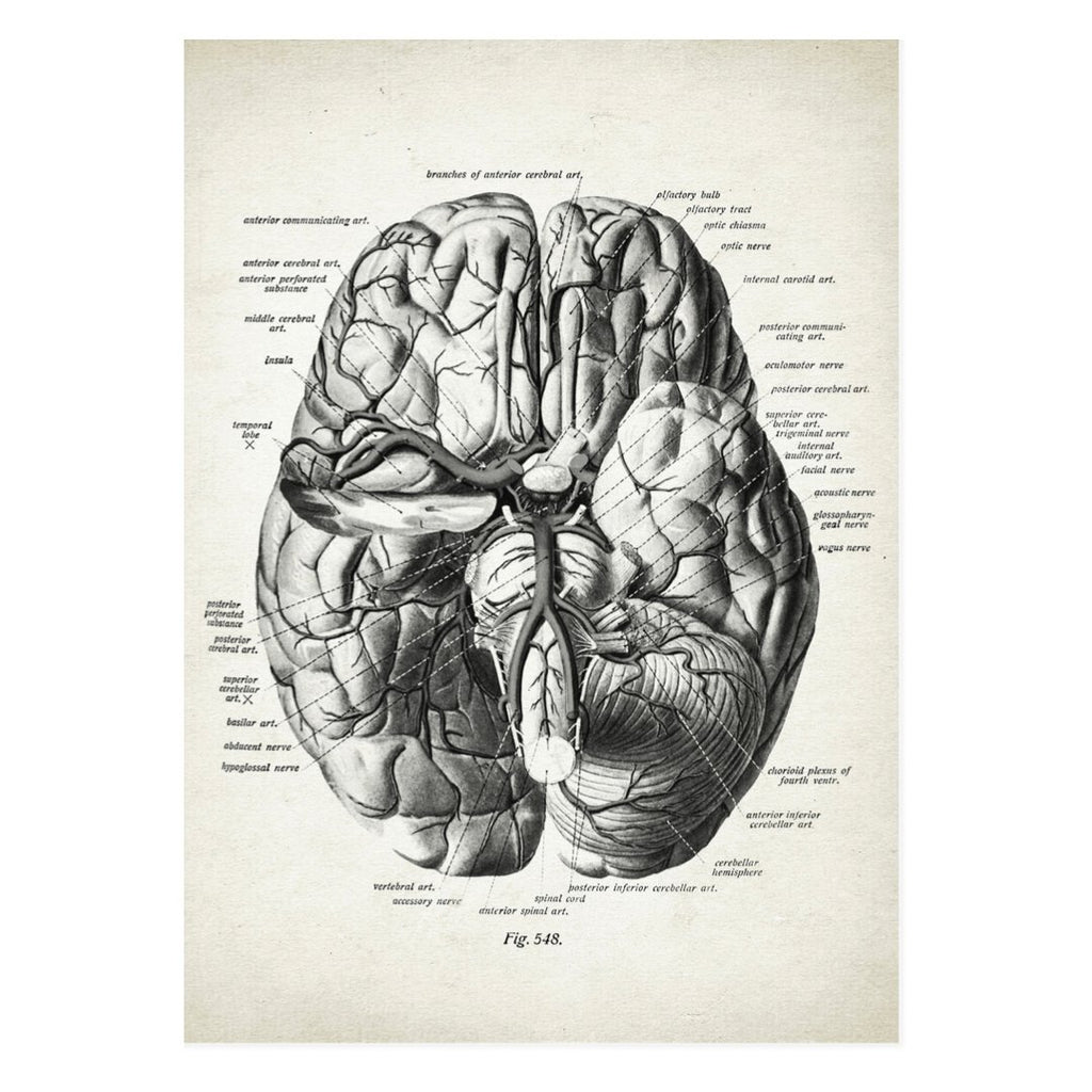 Mini posters adhesivos y reposicionables: Cerebro vintage - Tienda Pasquín