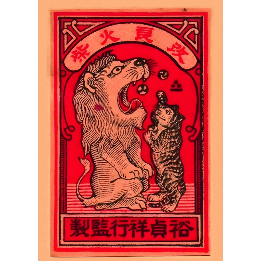 Mini posters adhesivos y reposicionables: Gato leon - Tienda Pasquín