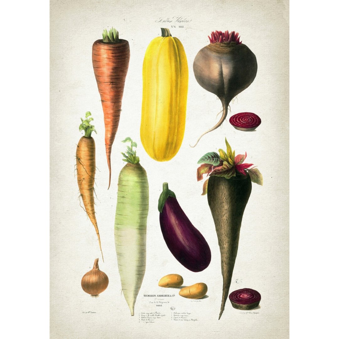 Mini posters adhesivos y reposicionables: libro vintage de verduras 01 - Tienda Pasquín