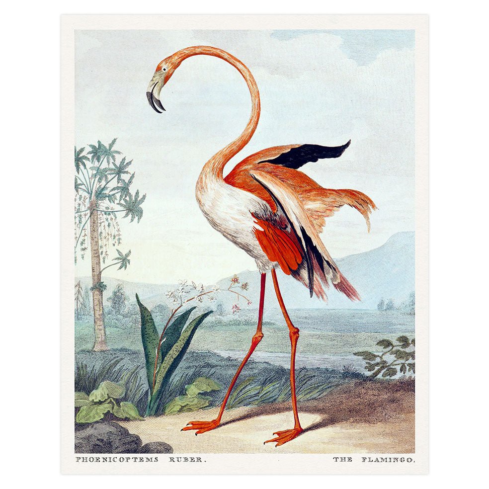 Poster adhesivo reposicionable: Flamingo Rosa - Tienda Pasquín