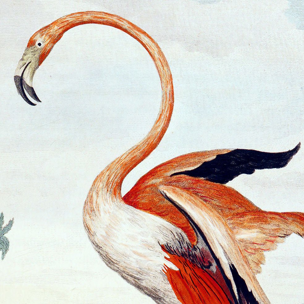 Poster adhesivo reposicionable: Flamingo Rosa - Tienda Pasquín
