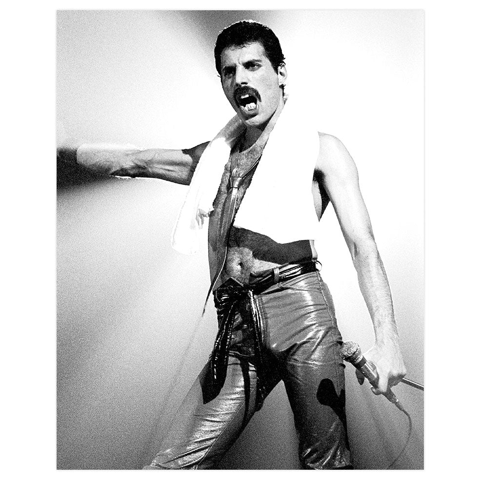 Poster adhesivo reposicionable: Freddie Mercury - Tienda Pasquín