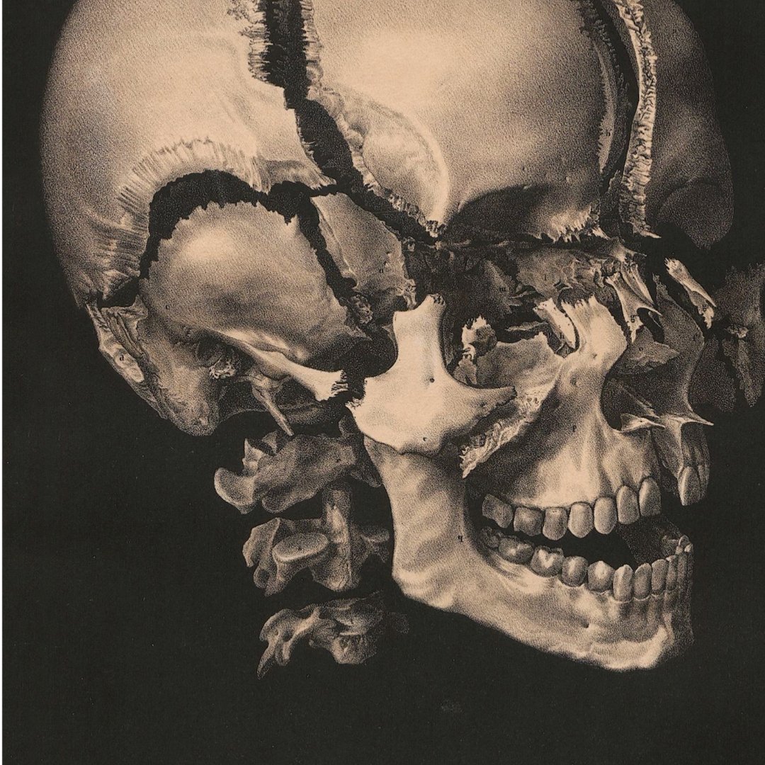 Poster adhesivo y reposicionable: Cráneo humano en negro - Tienda Pasquín